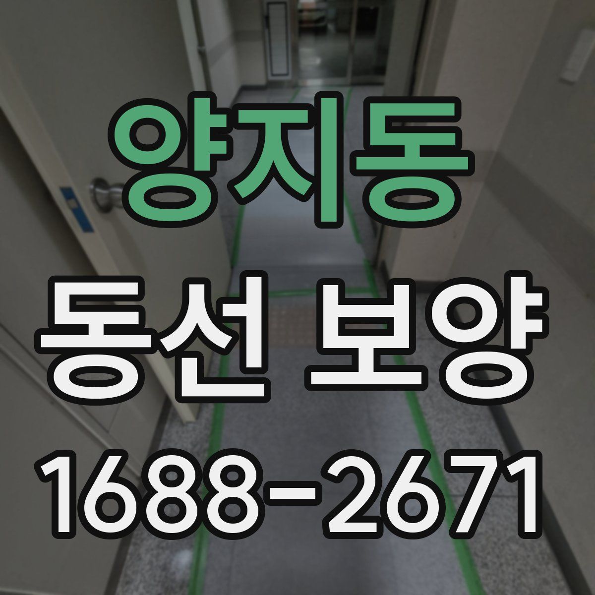 양지동 동선 보양