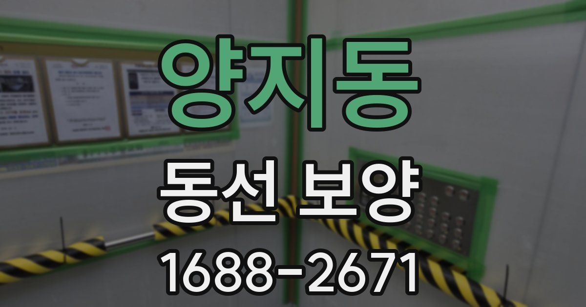 양지동 동선 보양