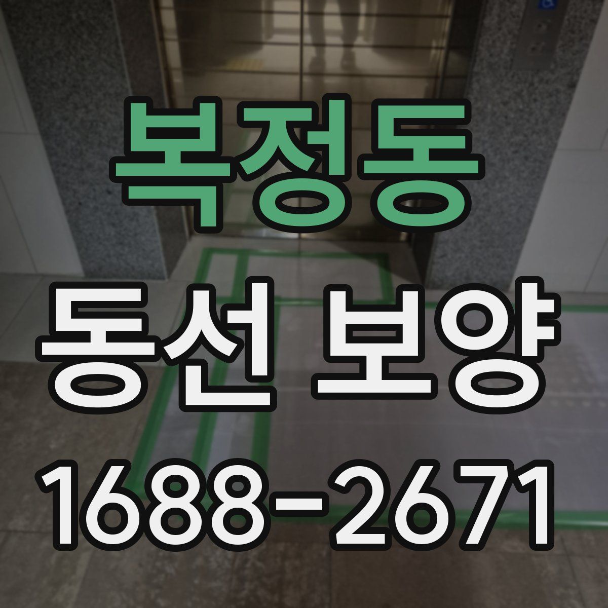 복정동 동선 보양