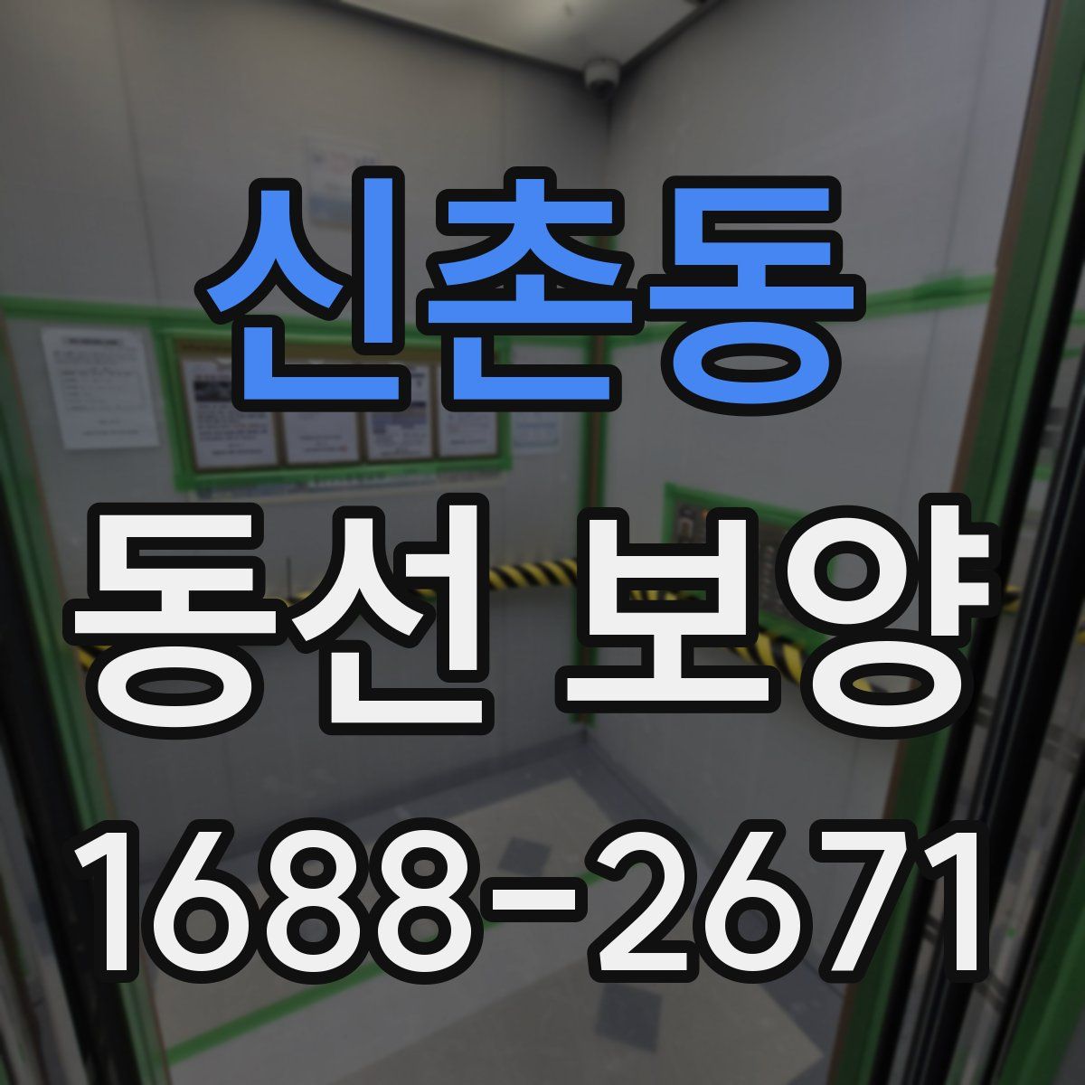 신촌동 동선 보양
