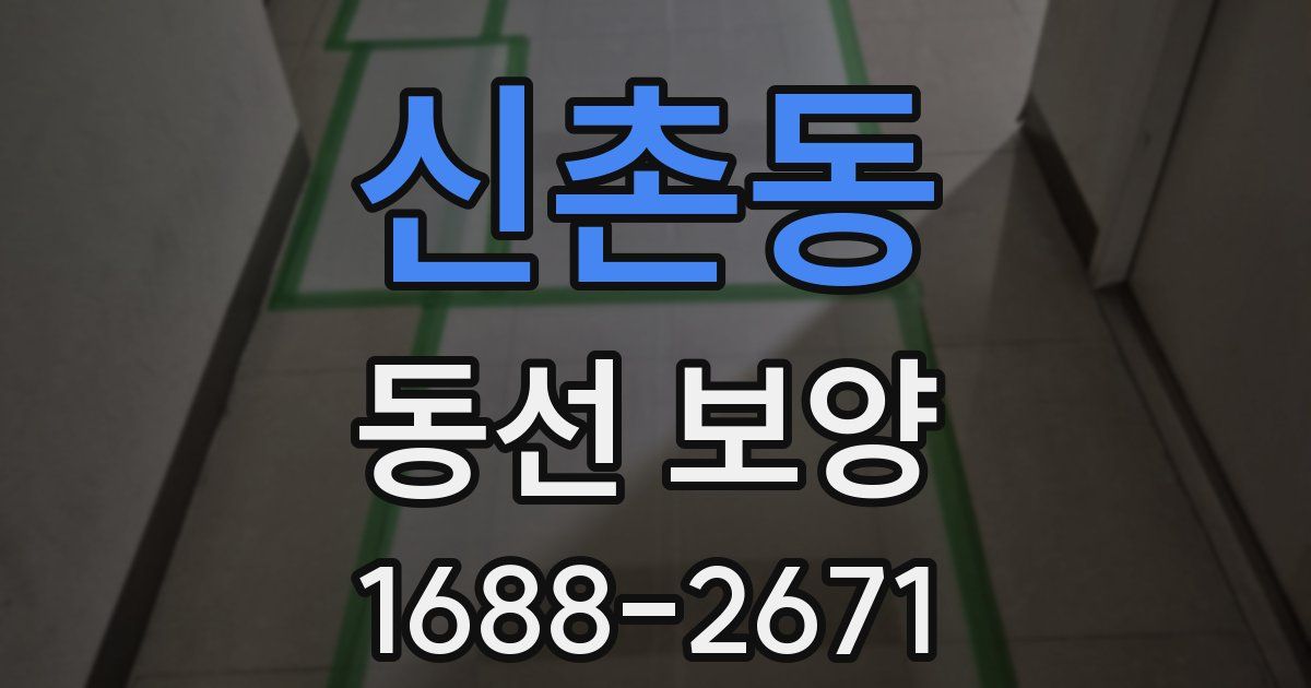 신촌동 동선 보양