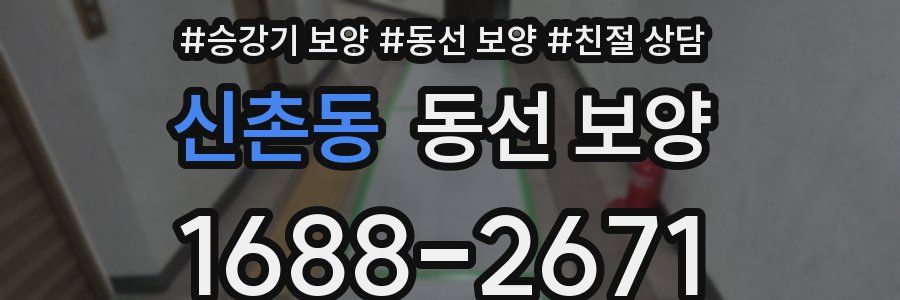 신촌동 동선 보양