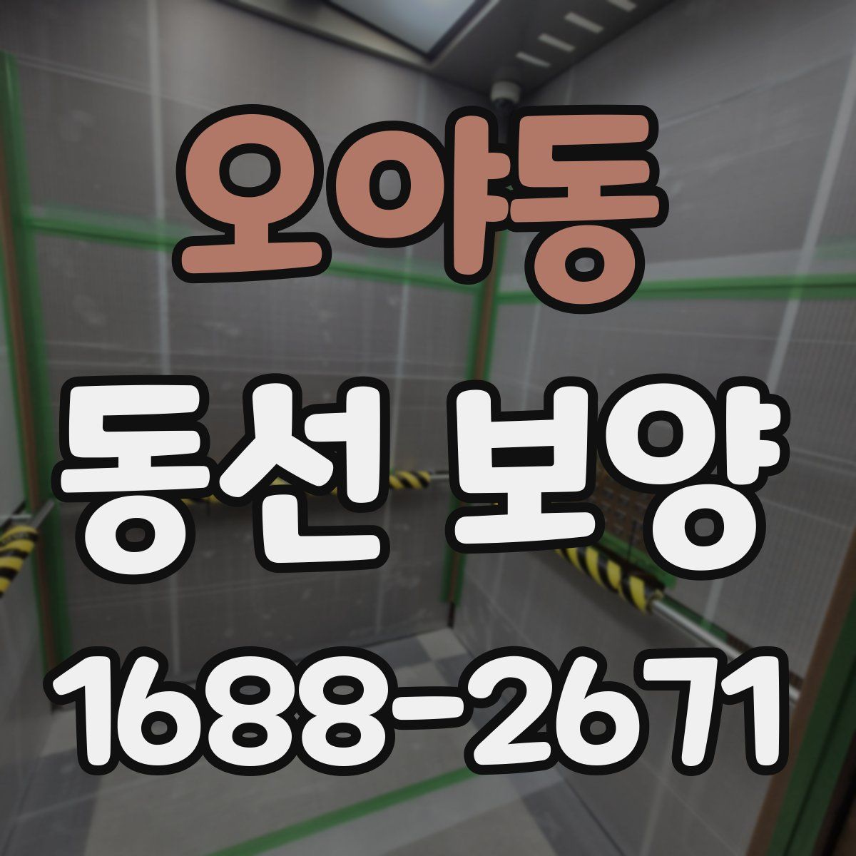 오야동 동선 보양