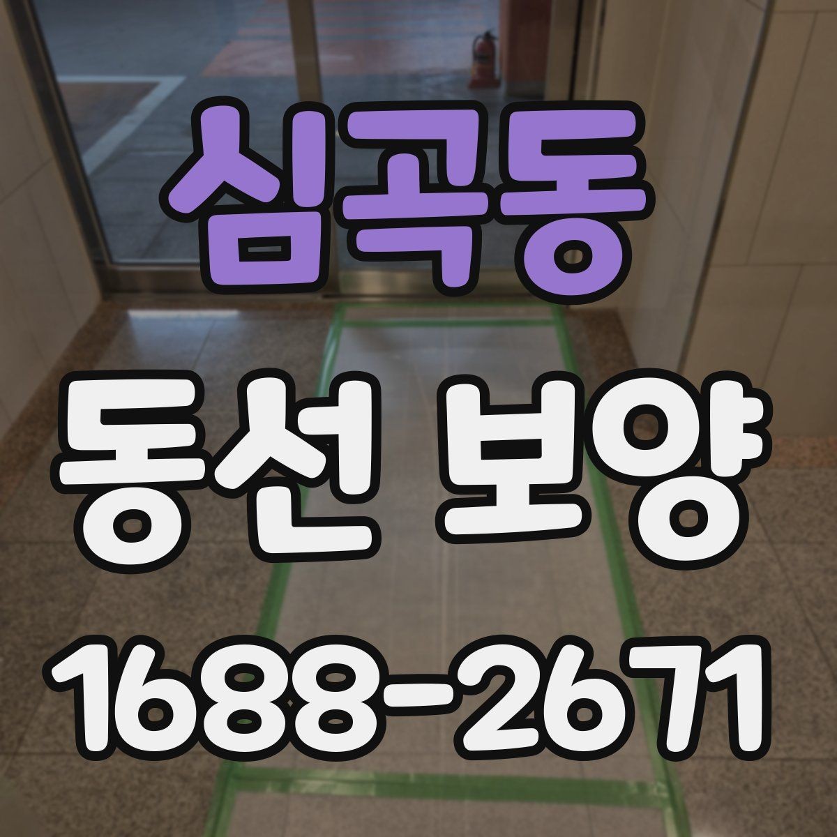 심곡동 동선 보양 비용과 범위는 어떻게 달라질까