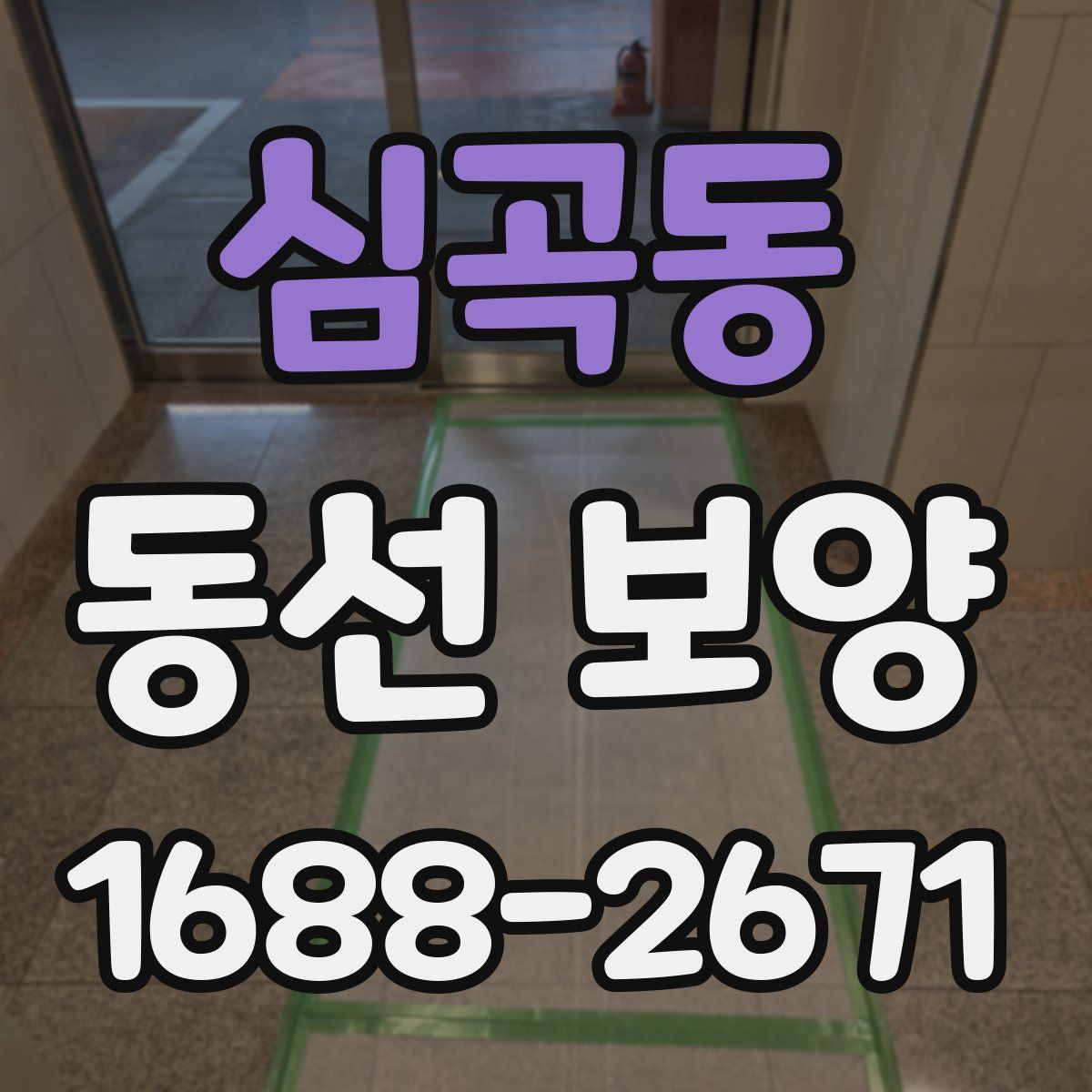 심곡동 동선 보양