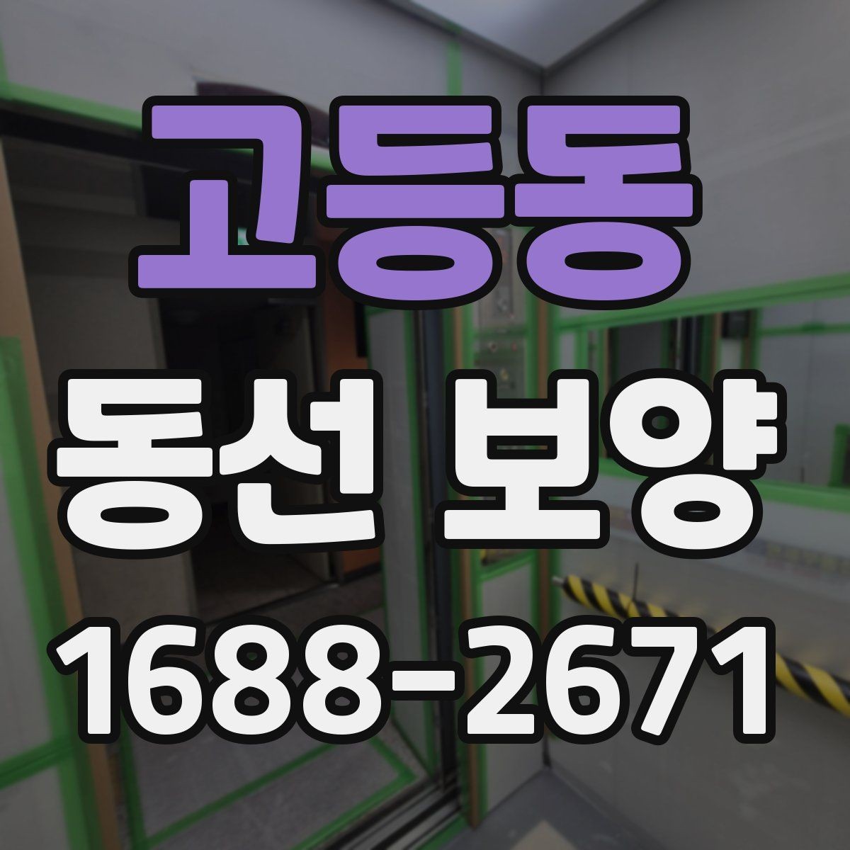 고등동 동선 보양 기준을 세울 때 보는 현장 요소