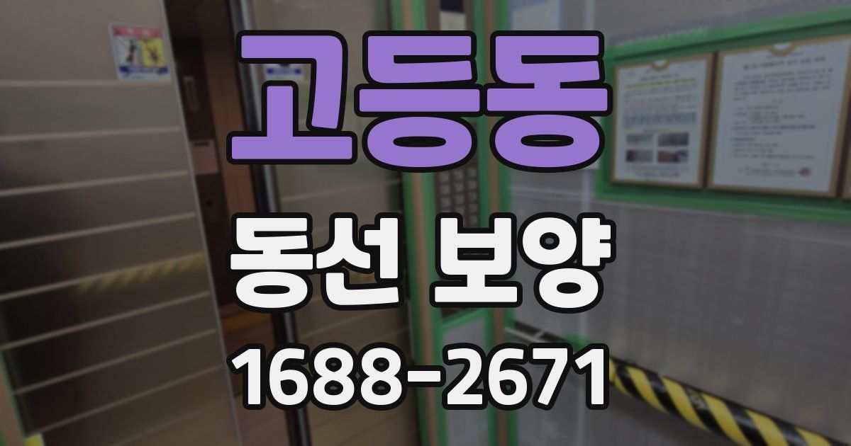 고등동 동선 보양