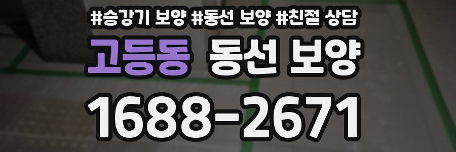 고등동 동선 보양