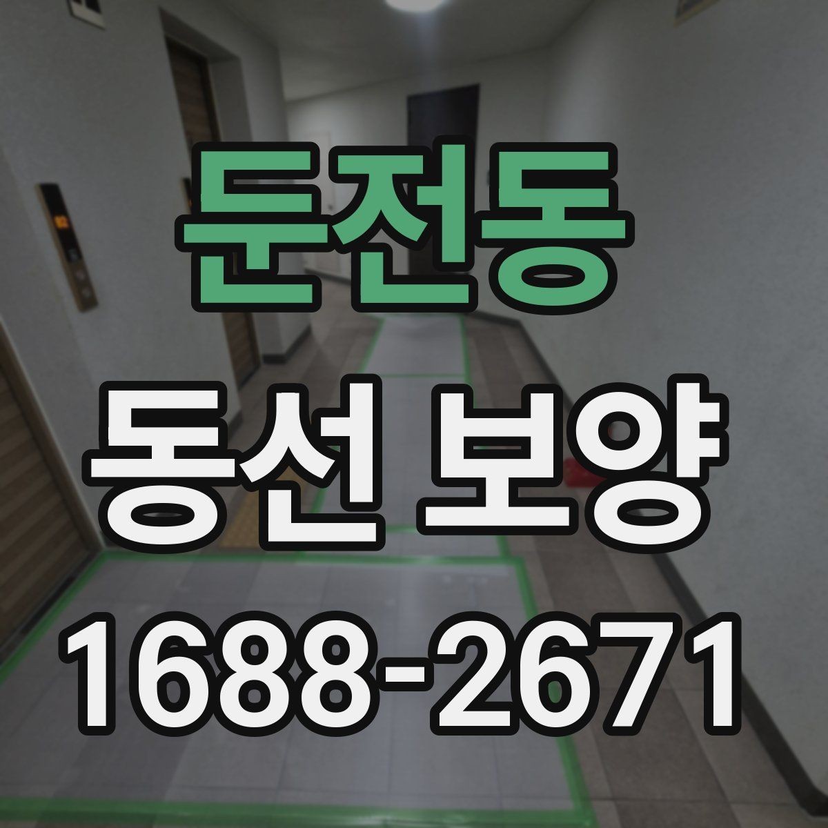 둔전동 동선 보양 선택 시 품질과 비용을 함께 보는 법