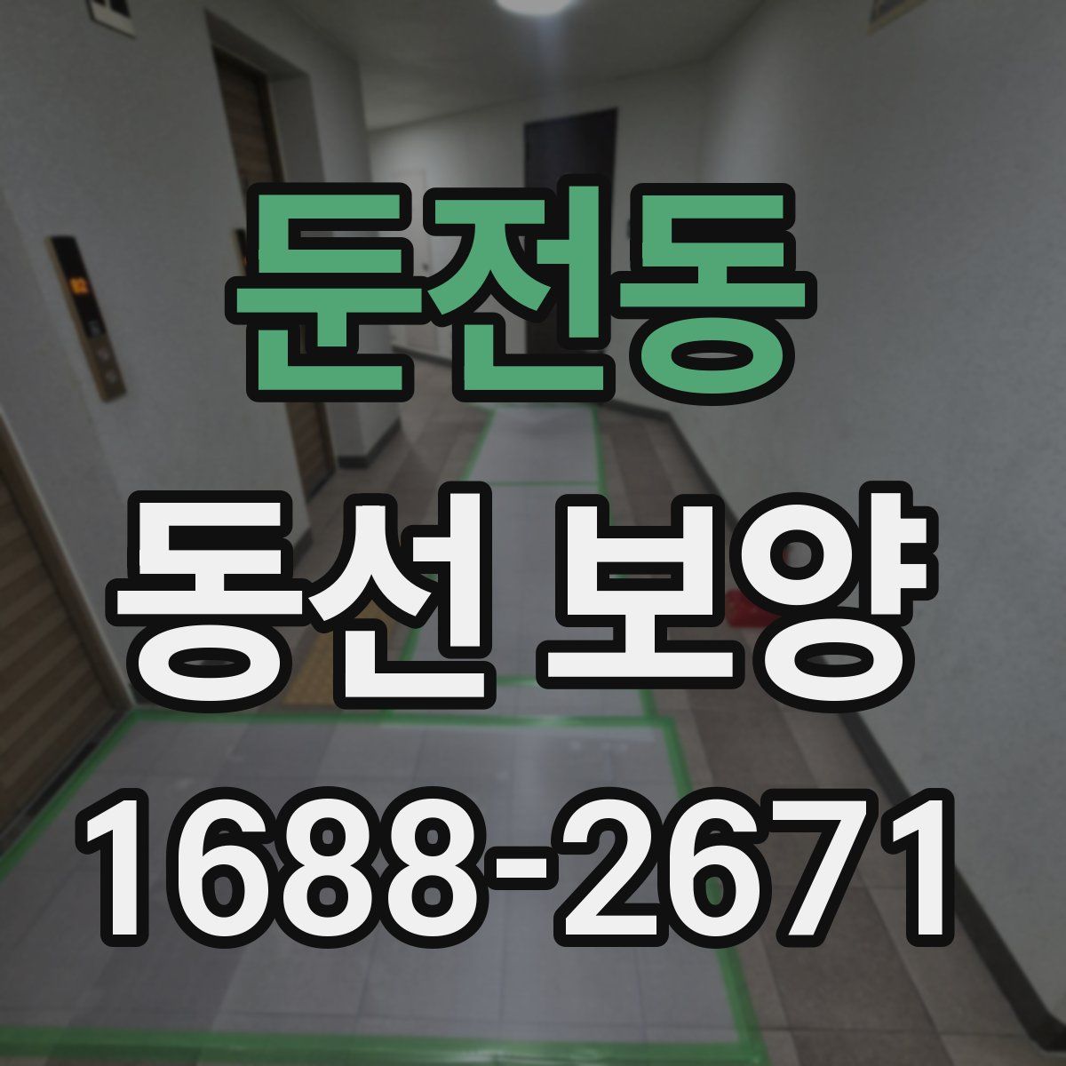 둔전동 동선 보양