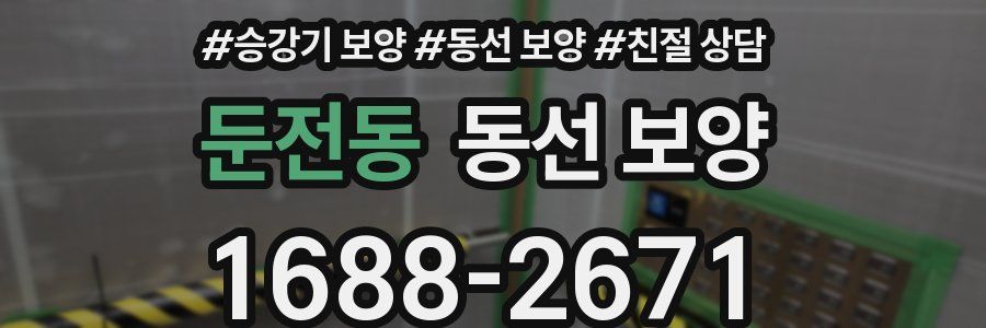 둔전동 동선 보양