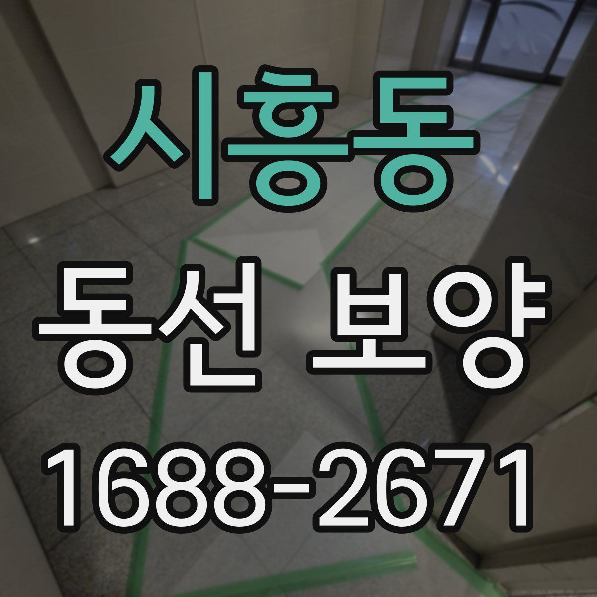 시흥동 동선 보양