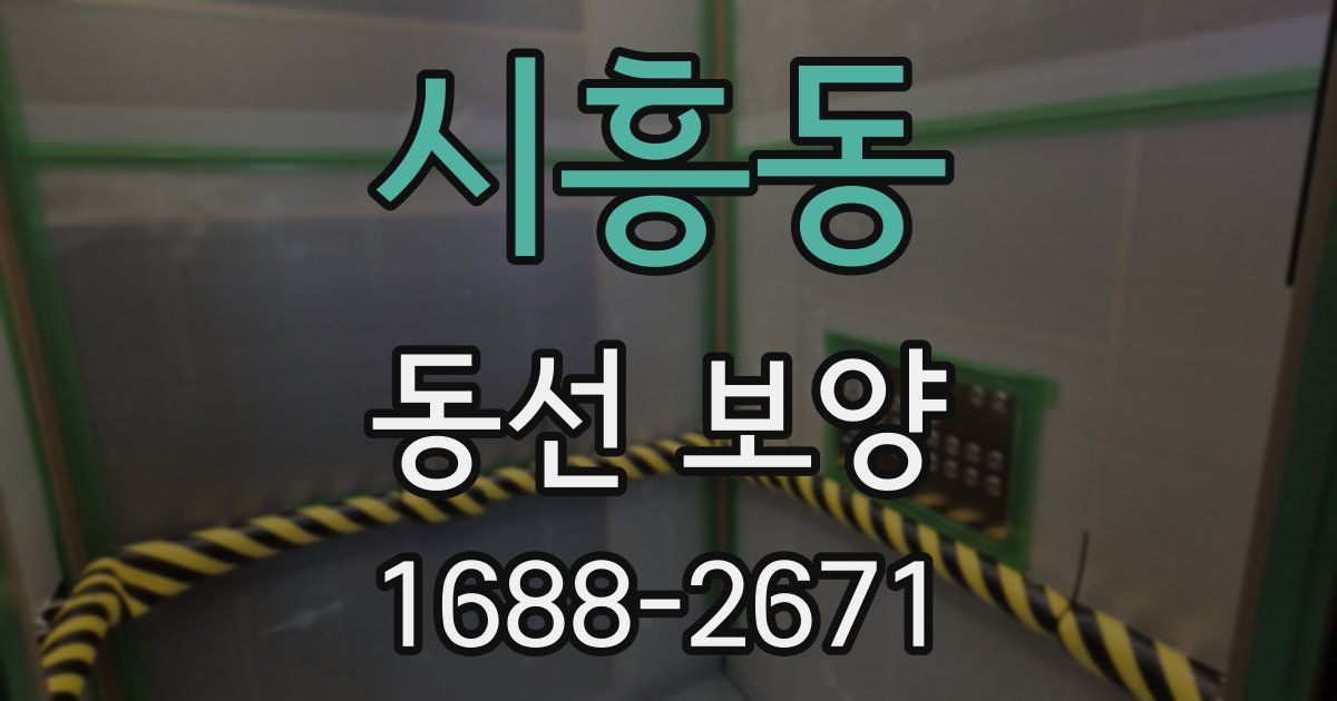 시흥동 동선 보양