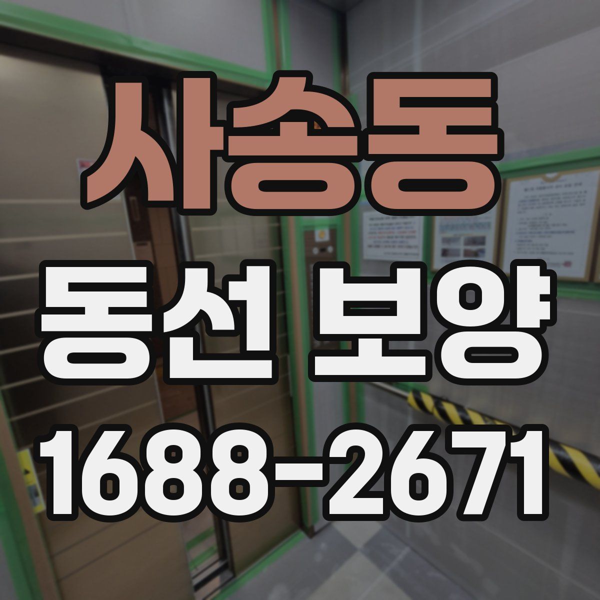 사송동 동선 보양