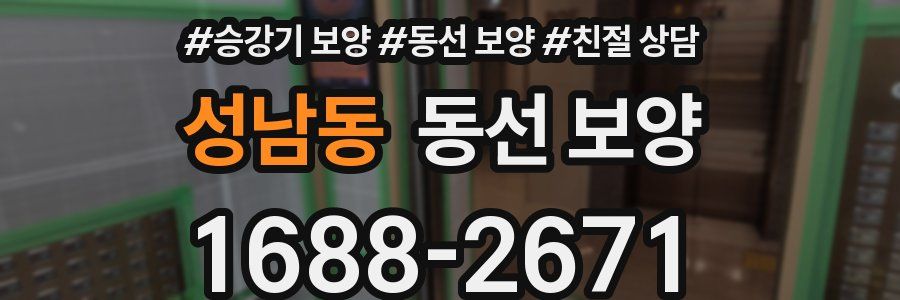 성남동 동선 보양