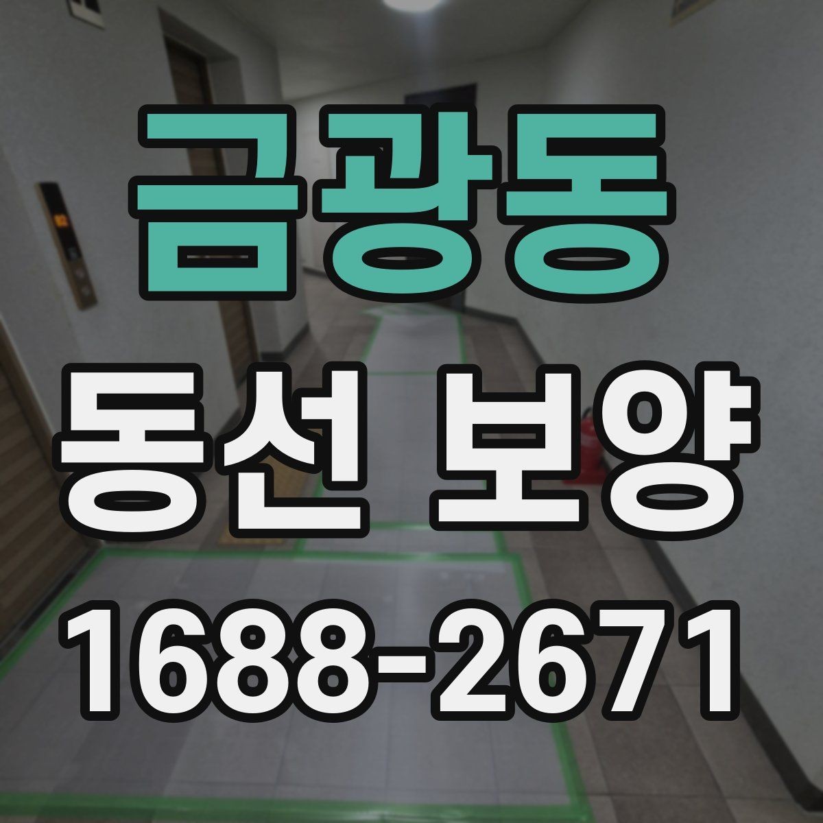 금광동 동선 보양 작업 범위와 현장 조건을 함께 보는 이유