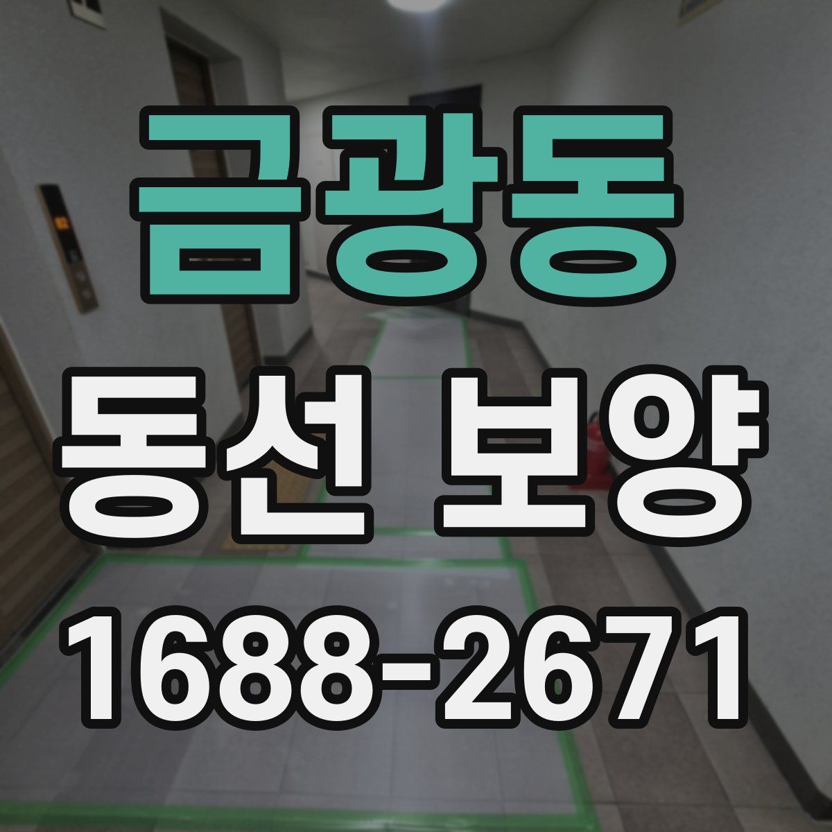 금광동 동선 보양