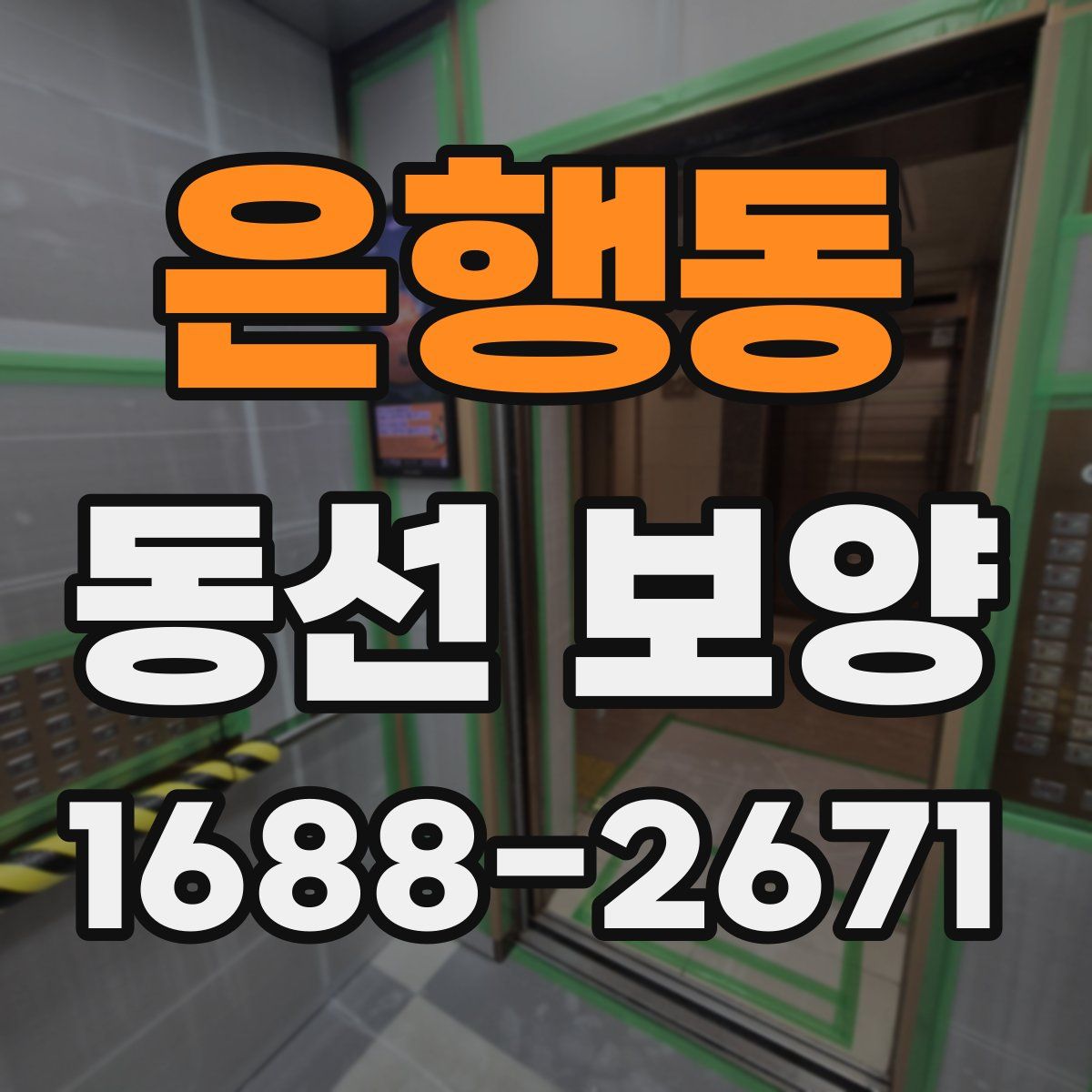 은행동 동선 보양