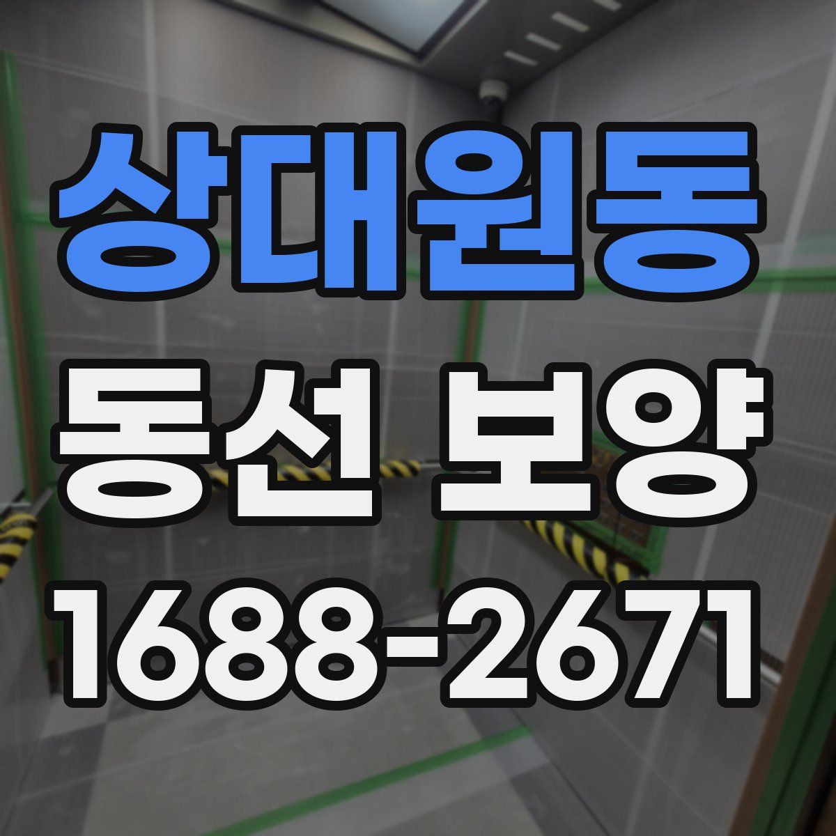 상대원동 동선 보양