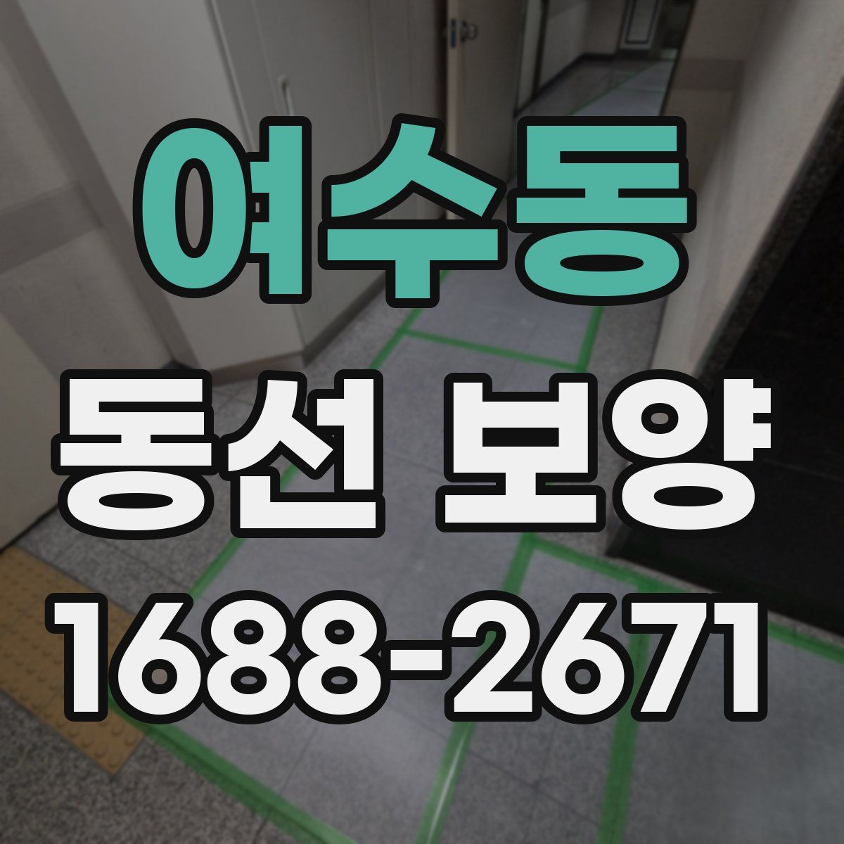 여수동 동선 보양