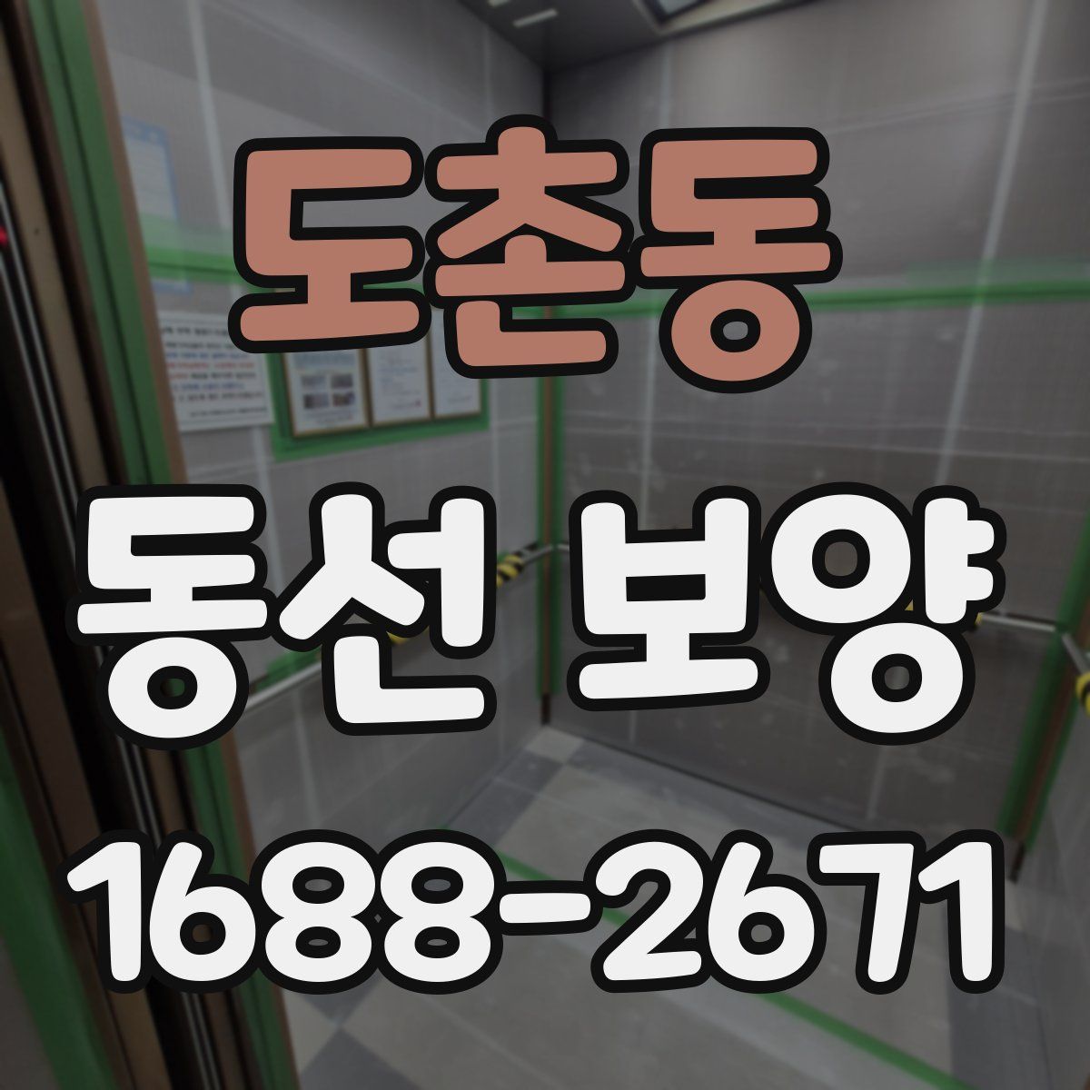 도촌동 동선 보양