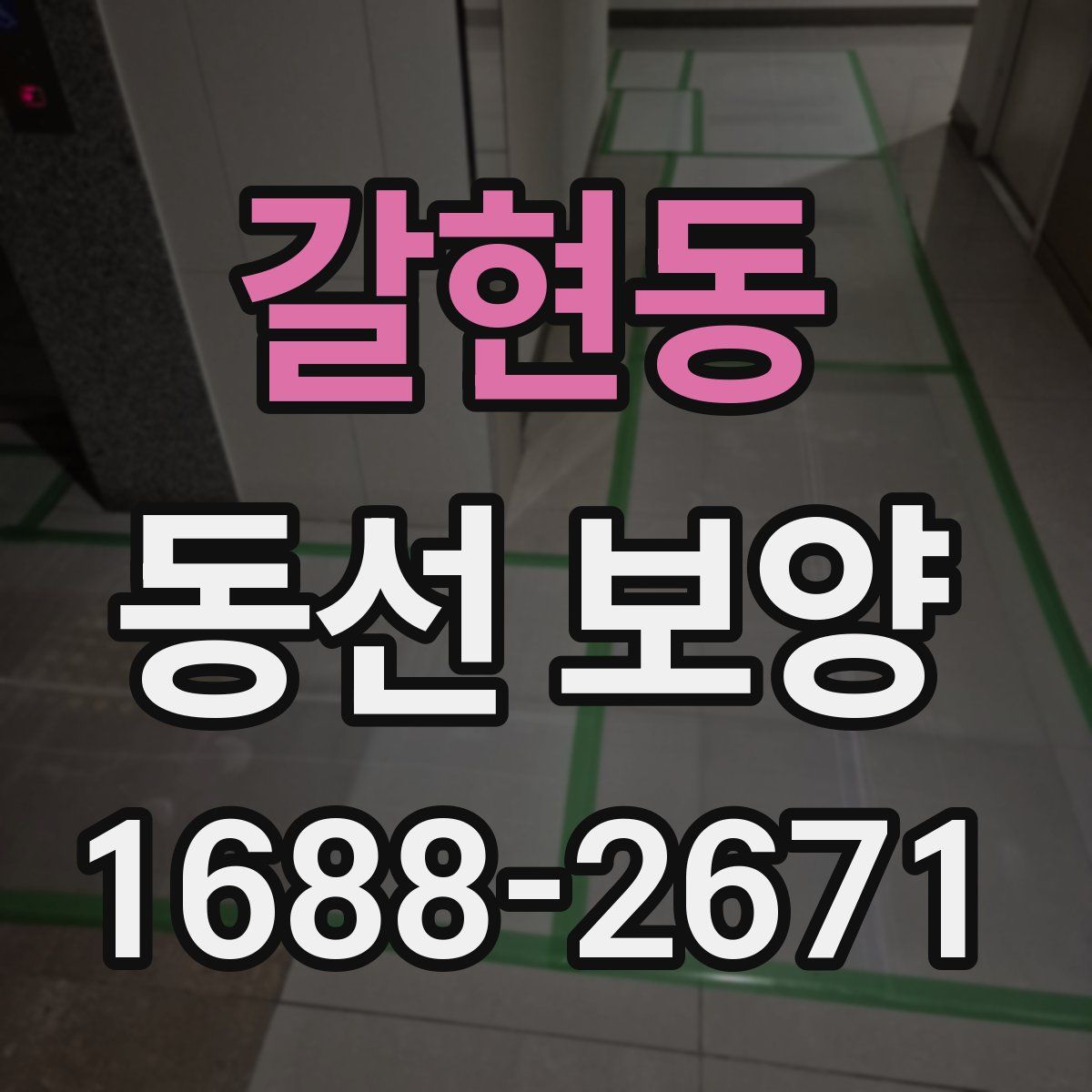 갈현동 동선 보양