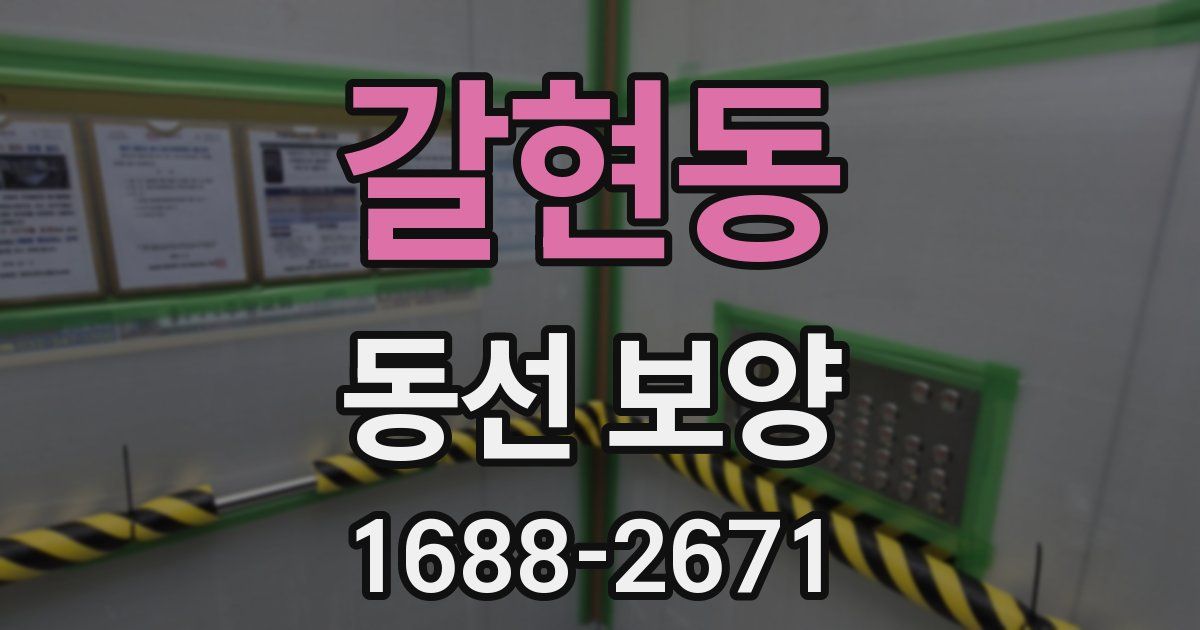 갈현동 동선 보양