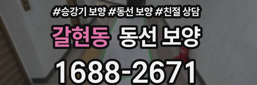갈현동 동선 보양