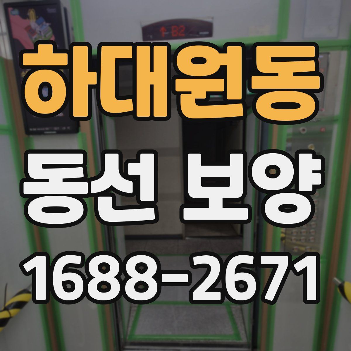 하대원동 동선 보양