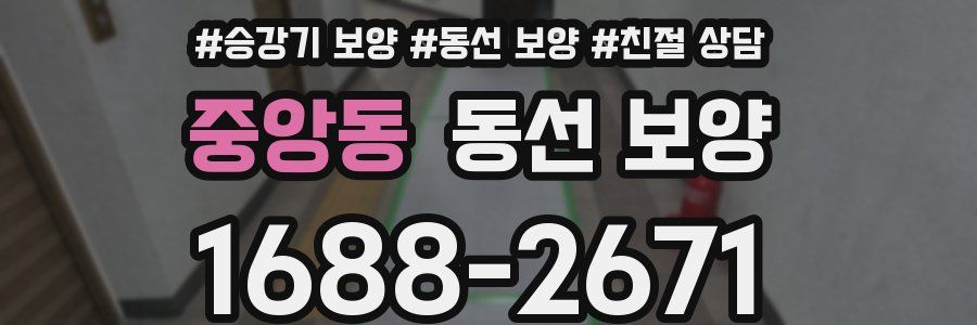중앙동 동선 보양