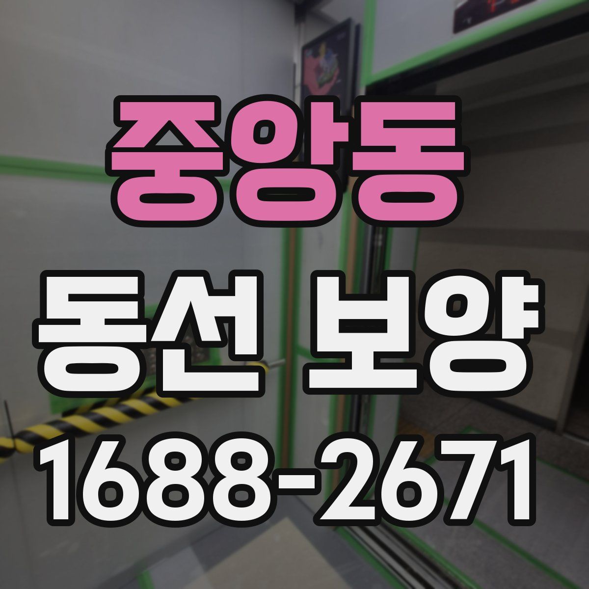 중앙동 동선 보양