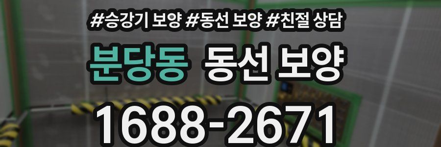 분당동 동선 보양