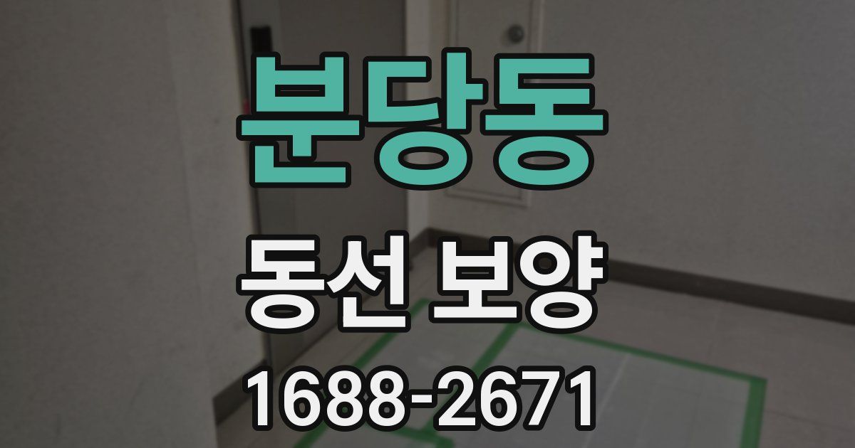 분당동 동선 보양