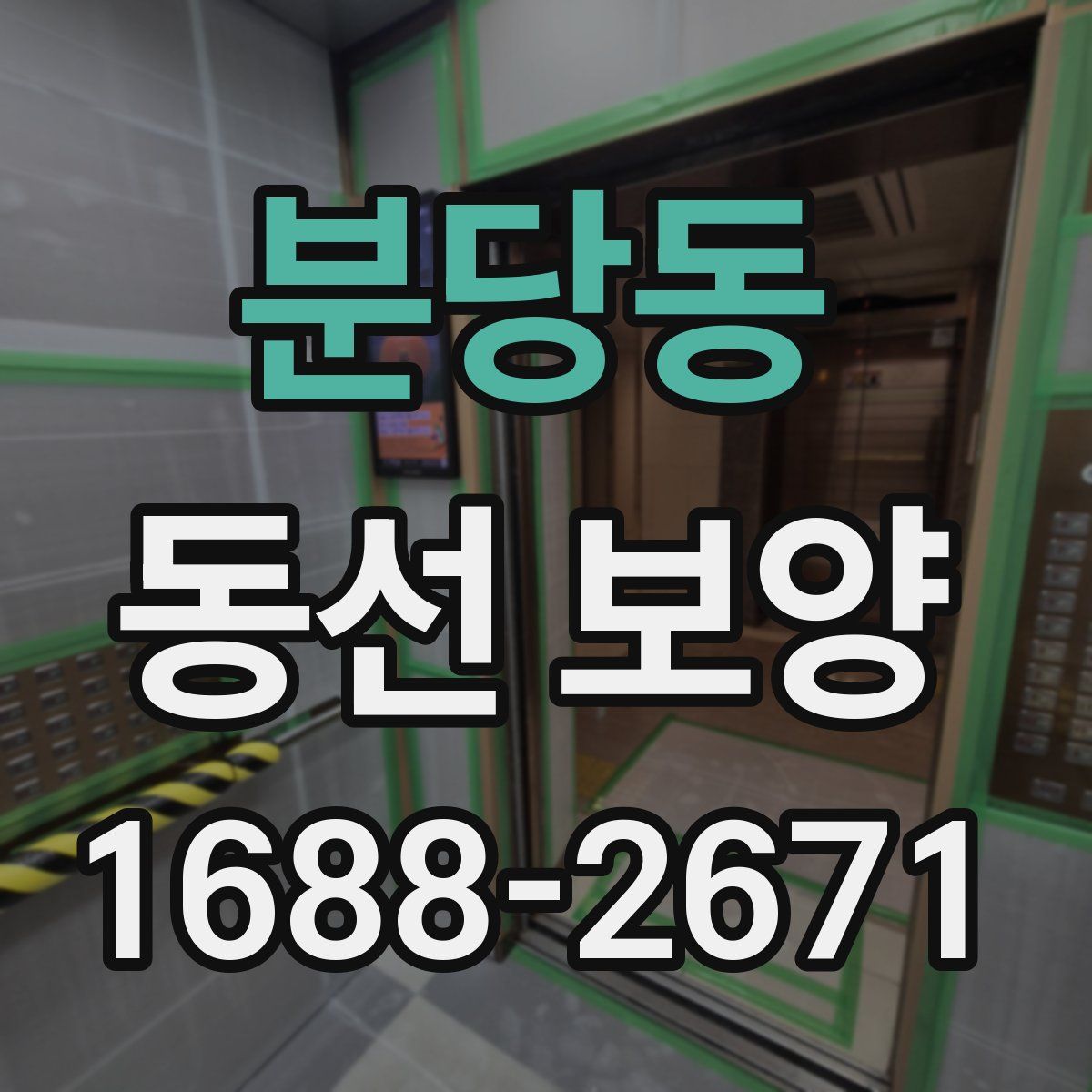 분당동 동선 보양