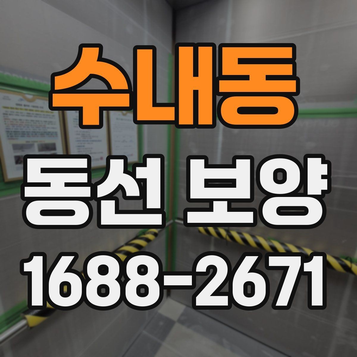 수내동 동선 보양 전후 차이를 알기 쉽게 정리