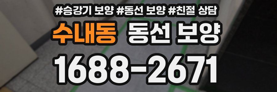 수내동 동선 보양