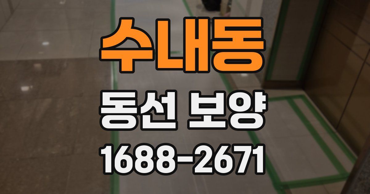 수내동 동선 보양