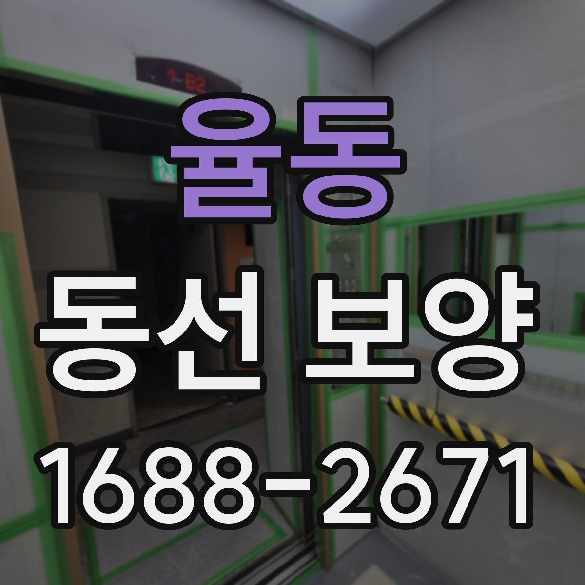 율동 동선 보양 시공 범위는 어디까지 포함될까