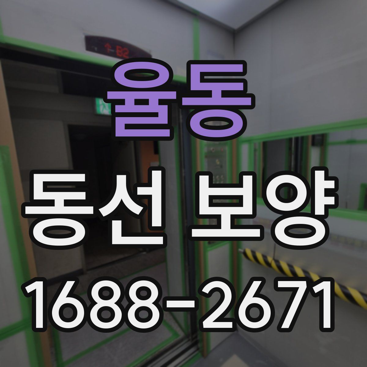 율동 동선 보양