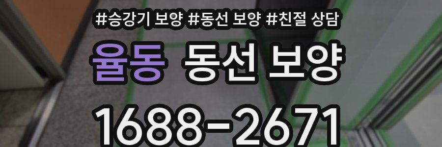 율동 동선 보양