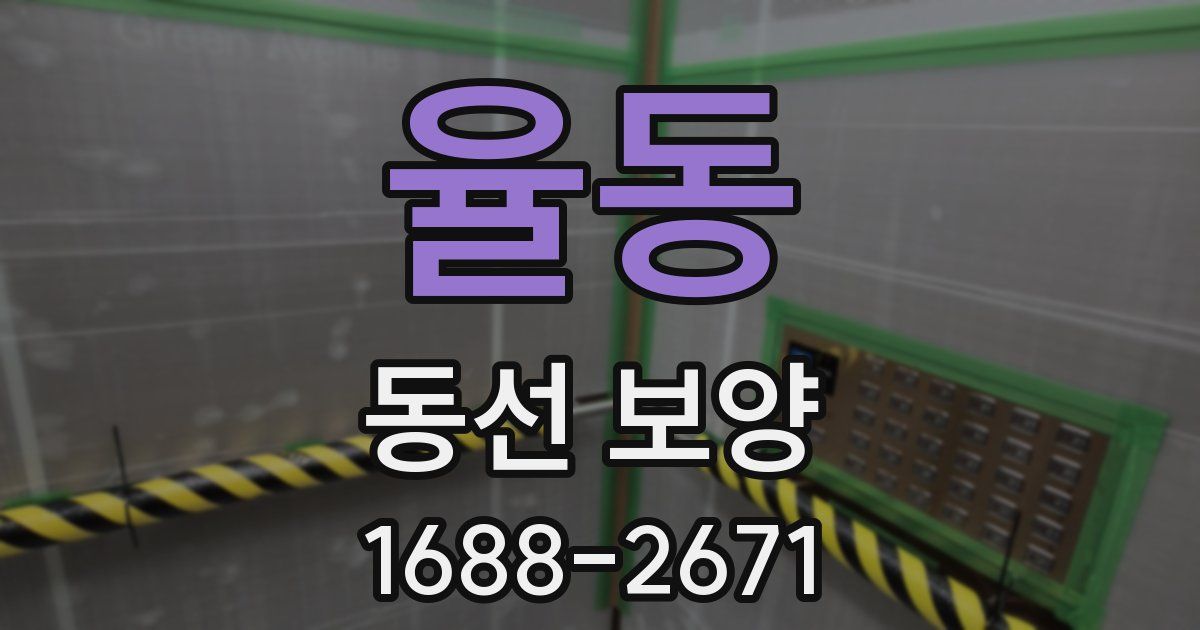 율동 동선 보양