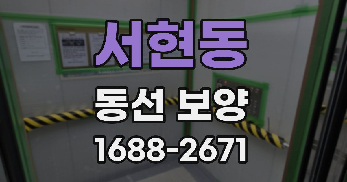 서현동 동선 보양