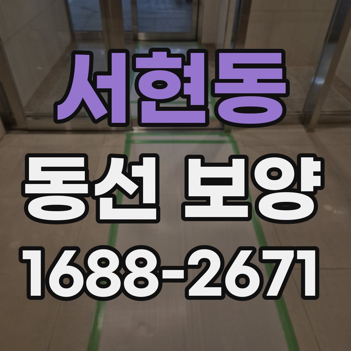 서현동 동선 보양