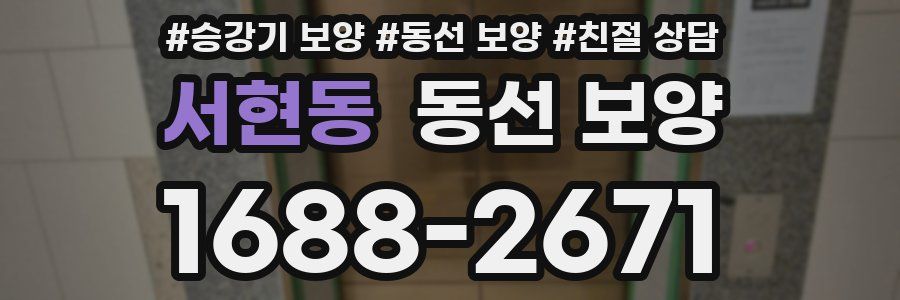 서현동 동선 보양