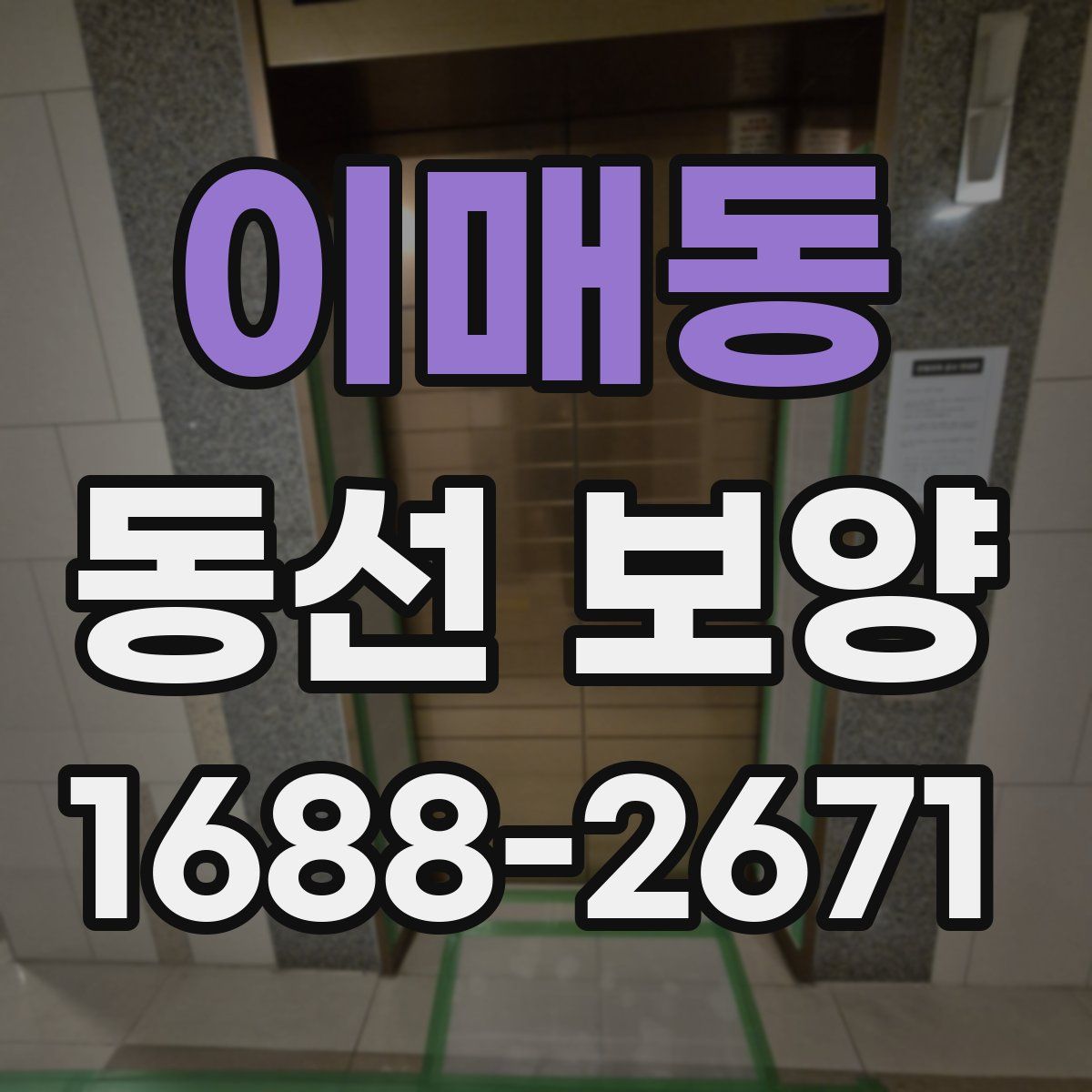 이매동 동선 보양