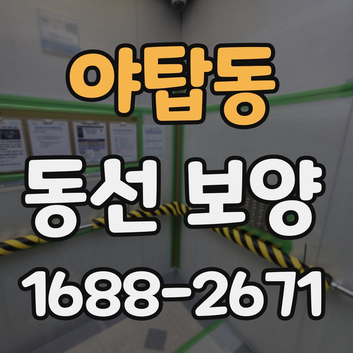 야탑동 동선 보양