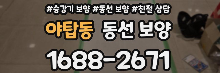 야탑동 동선 보양