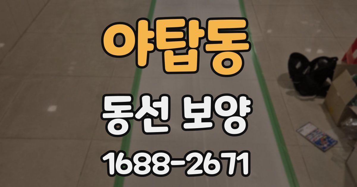 야탑동 동선 보양