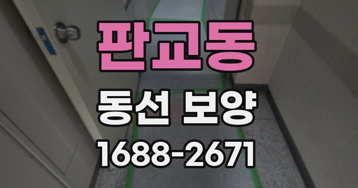 판교동 동선 보양