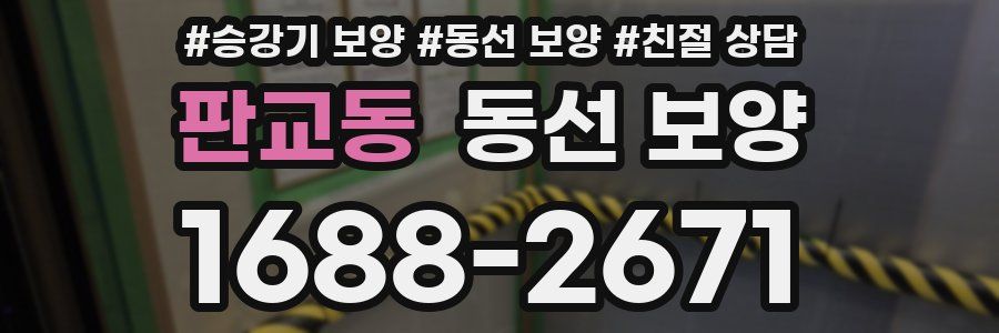 판교동 동선 보양